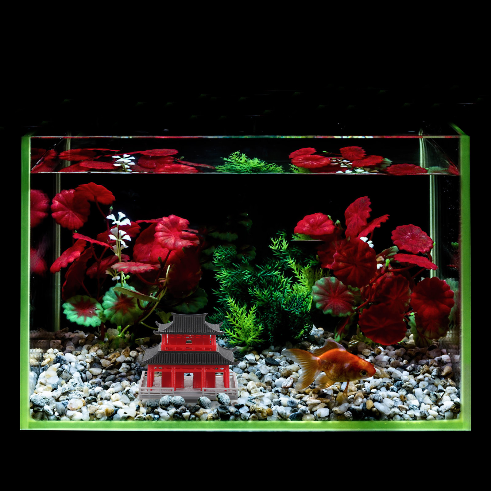 Pavillon Cinese Antico Nero Ro - Aquarium & Marine Museum Kota Kinabalu recensione e prezzo