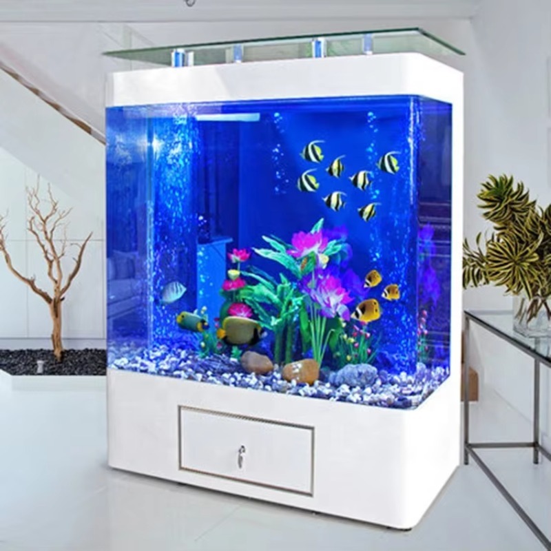 Acquario in Vetro da 200 Gallo - Marine Aquarium Design recensione e prezzo